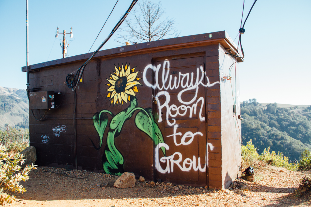 A small cabin with the words "Always Room To Grow" painted on the door