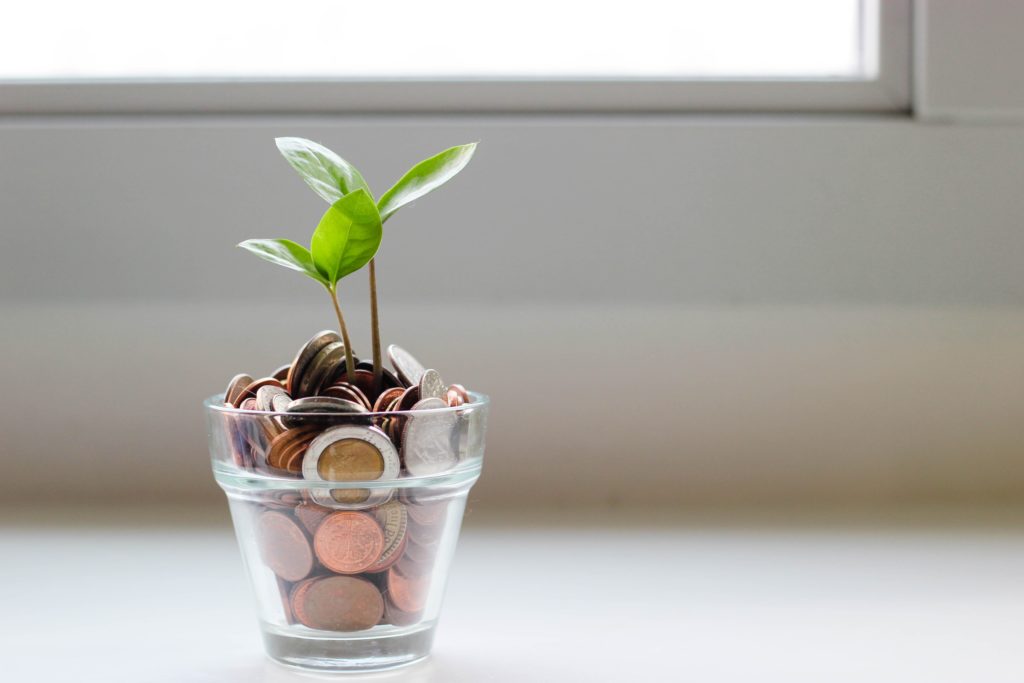 A small plant in a jar full of coins