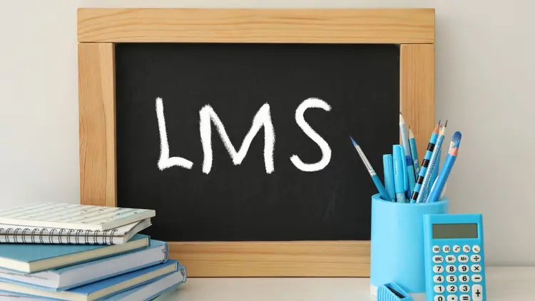A chalkboard with the letter LMS written in chalk.