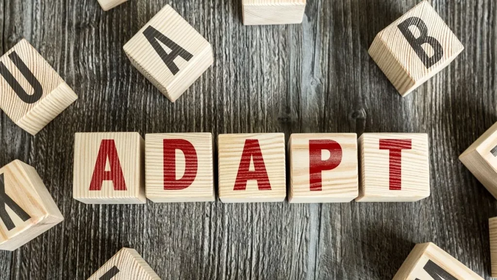 Building letter blocks spelling the word "adapt".