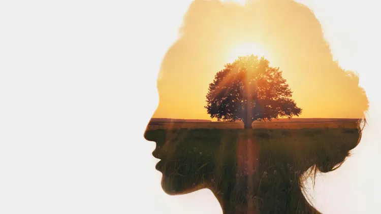 The silhouette of a womans' head with a tree and a sunset inside. 
