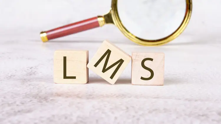 Letter tiles with the letters "LMS" on it and a magnifying glass.