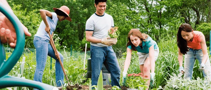 community members gardening together