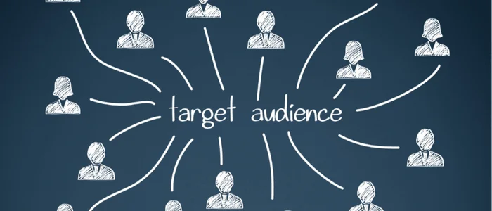 targeting audience for free website development